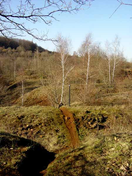 Im Elterngruendchen 2004 02 001