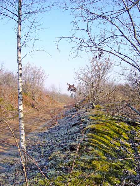 heidenfeldchen 2004 03 001