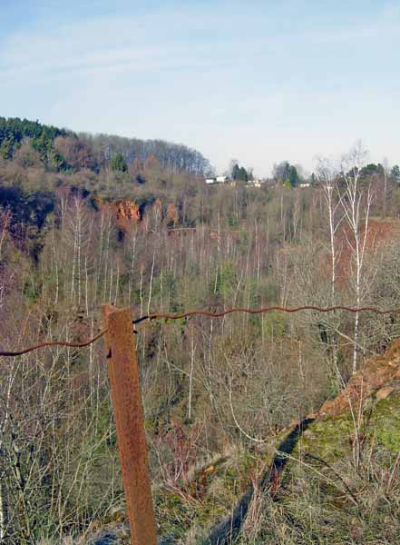 im schlammfeld 2004 02 006
