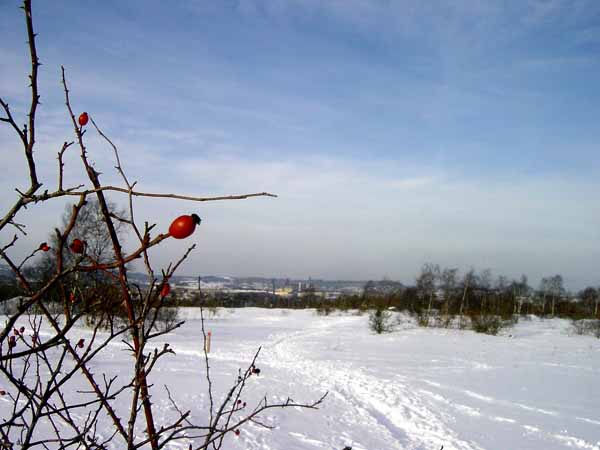 lallengerbierg 2004 007