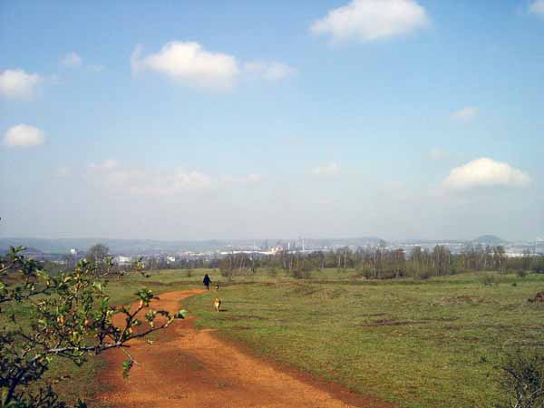 lallengerbierg 2004 04 005