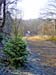 heidenfeldchen 2004 03 002
