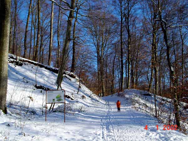 Auf dem Heinzenberg 2001 01 001