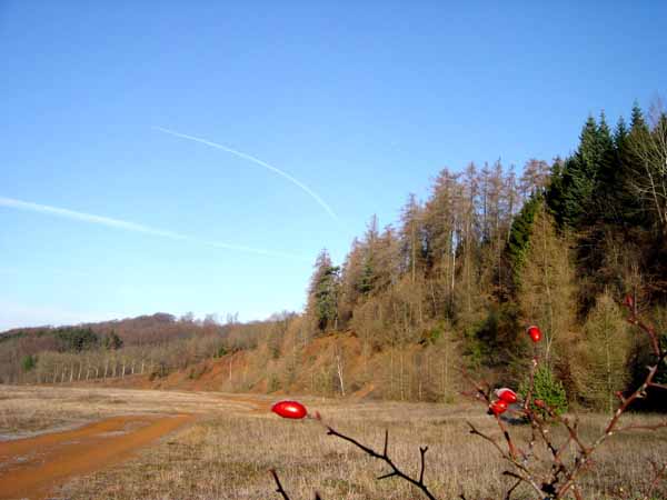 In der Eisenkaul 03-12-09