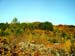 Burbacher Lach 08 03-11