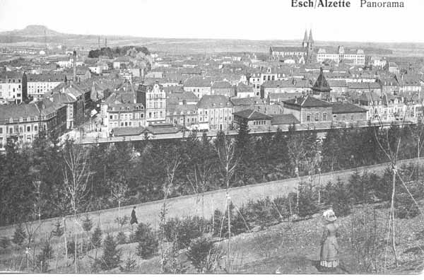 Esch 010