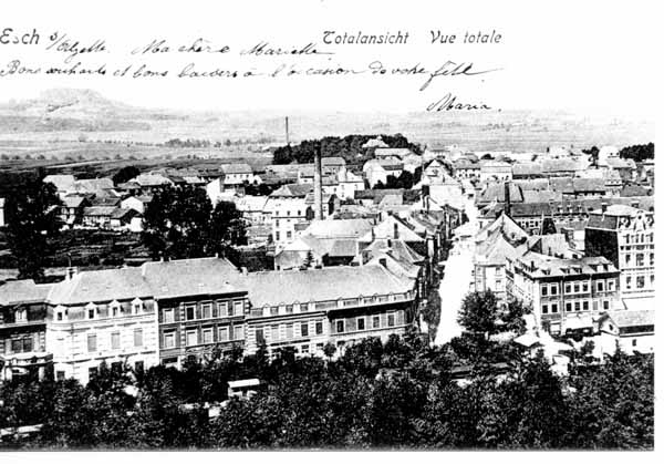 Esch 021