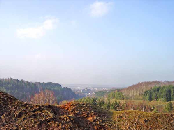 Im Holzemesgrund 2004 02 002