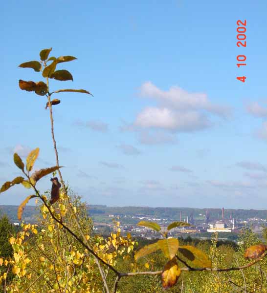 lallengerbierg 09