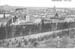 Esch 010
