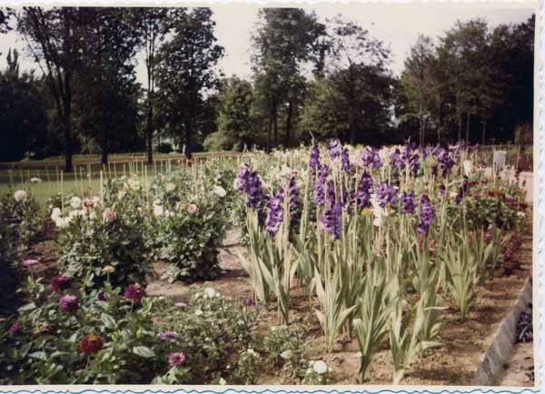 Jardins Educatifs 1963 14