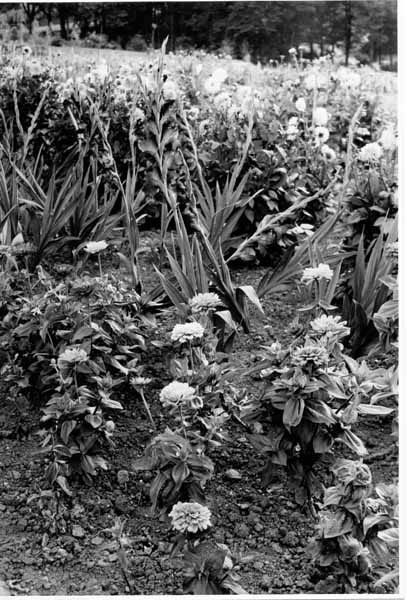 Jardins Educatifs 1963 25