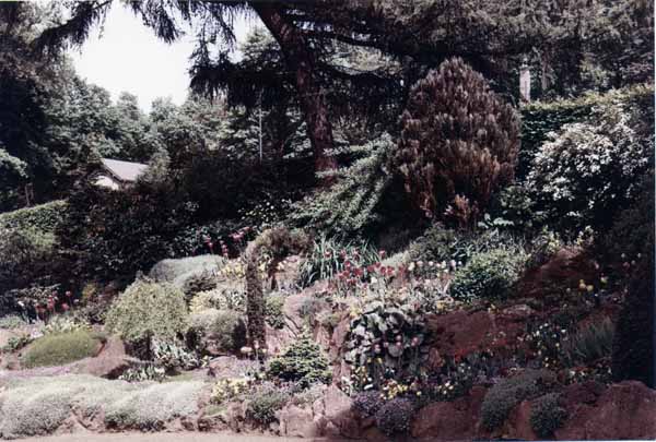 Parc de la Ville 1956 01