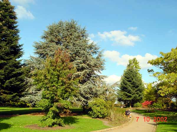 parc_de_la_ville2003 (25)