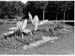 Jardins Educatifs 1963 20