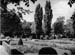 Parc de la Ville 1956 05