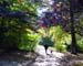 parc_de_la_ville2003 (24)