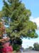parc_de_la_ville2003 (31)