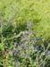 parc_de_la_ville2003 (35)