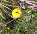 parc_de_la_ville2003 (38)