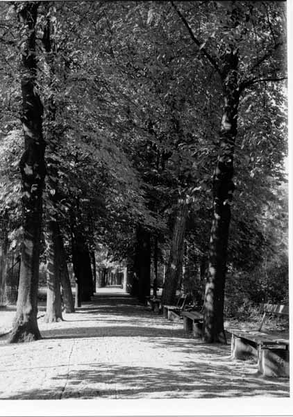 Parc Laval 1964 01