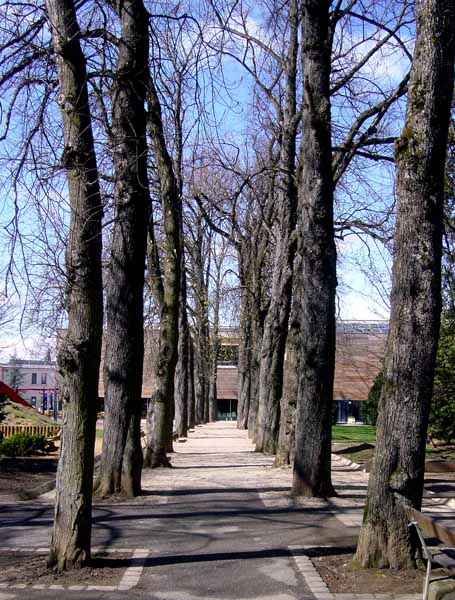 Parc Laval 2004 04 003