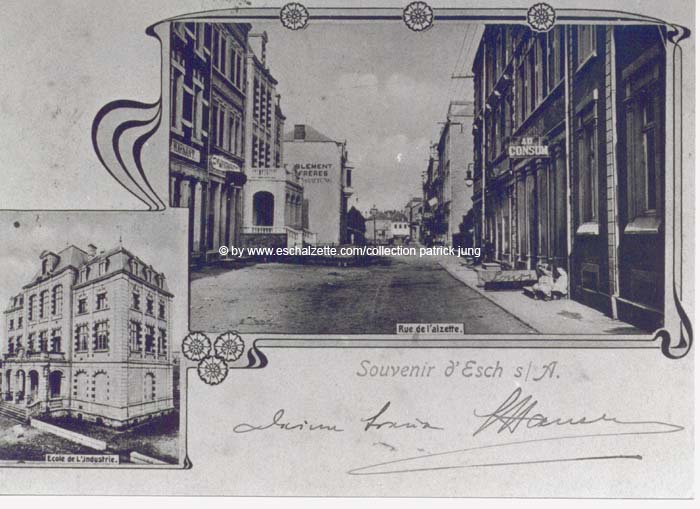 alzetterue012 cp