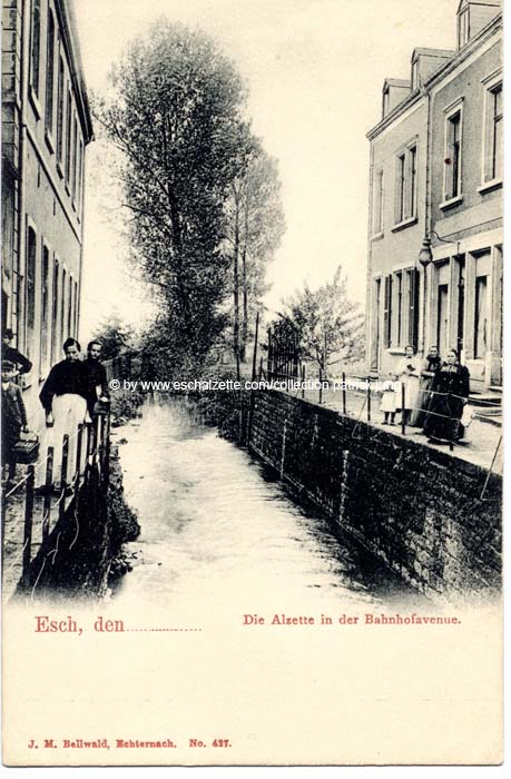 alzetterue1905001 cp x