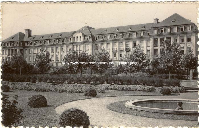 dellheicht1951001 cp x