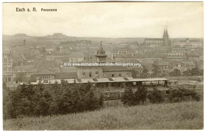 panorama1910002 cp x