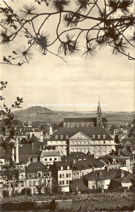 panorama1951001 cp x