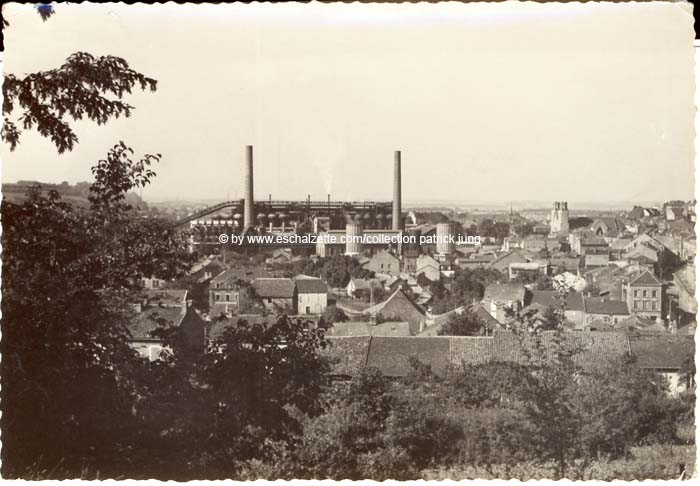 panorama1951002 cp x