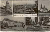 eschdivers1956004 cp x
