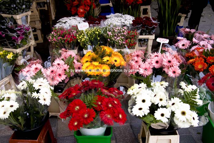 marche20070713015