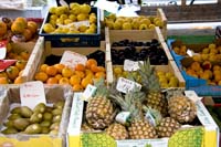 marche20070713021