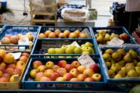 marche20070713022