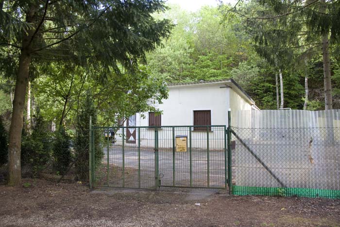 kleesgruendchen200705008