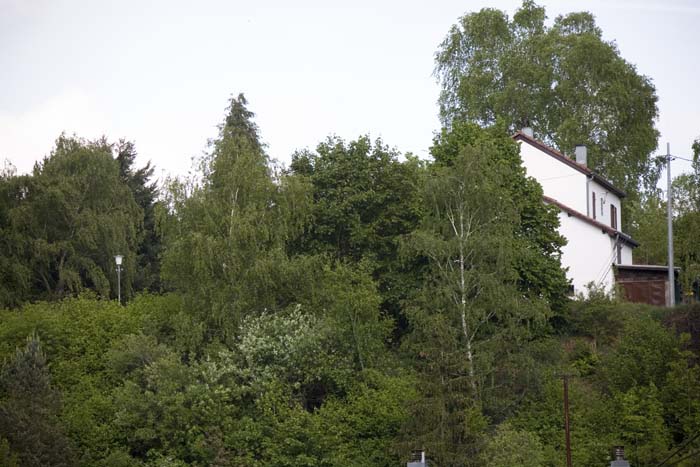 kleesgruendchen200705017