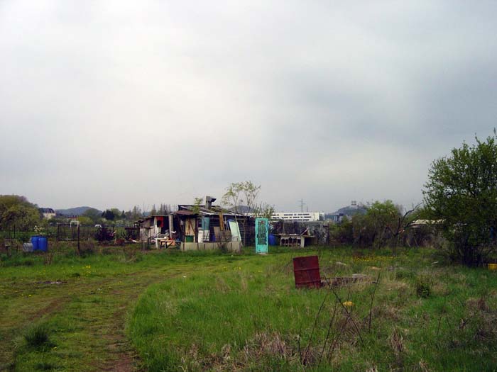 nonnewisen200504002