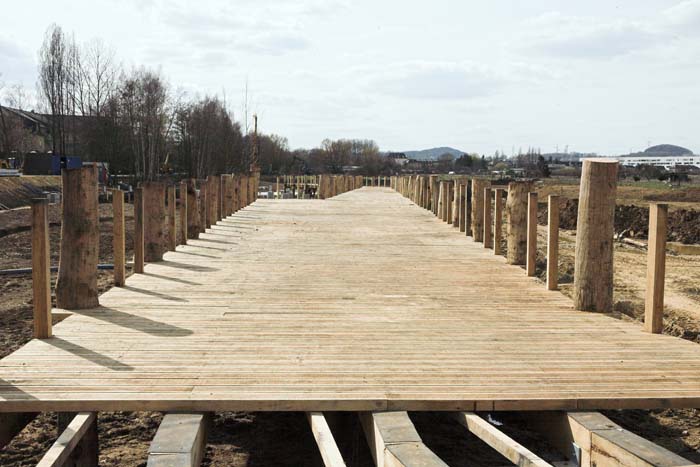 nonnewisen200604010