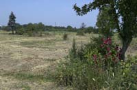 nonnewisen200506004