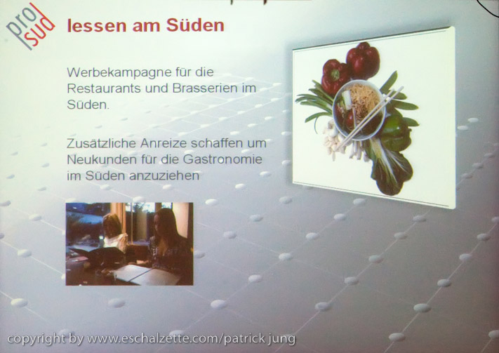 20090116_prosud_happening_au_skip012