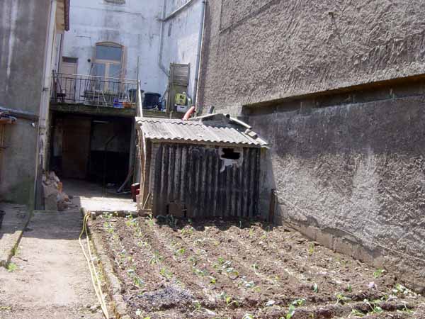 audunrue20030600 (1)