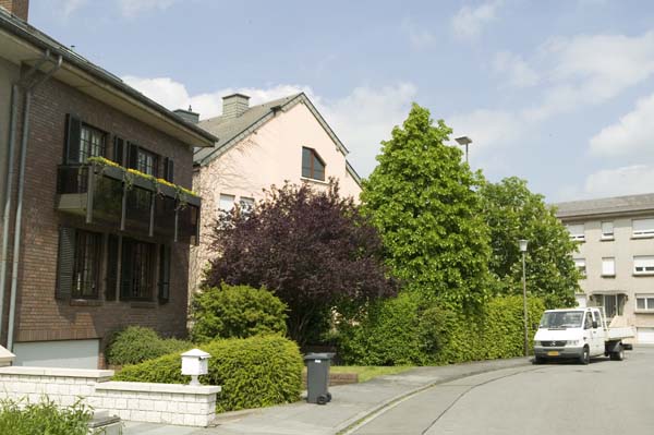 bergjean200505006