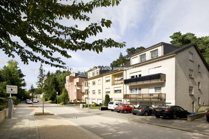 20080814burgronn006