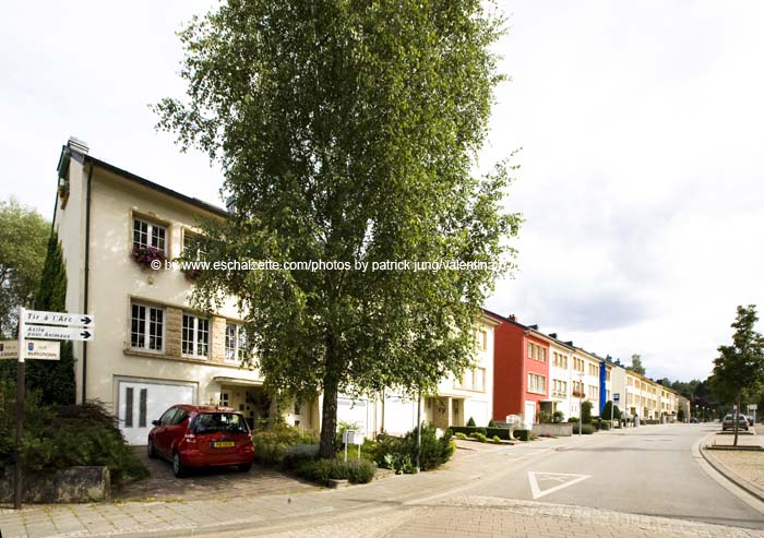 20080814burgronn007