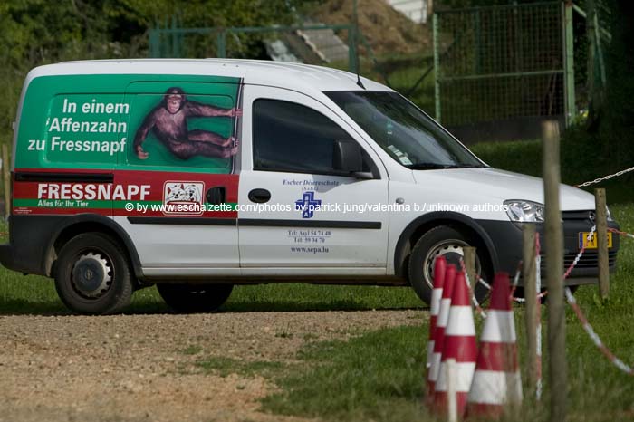 20080814burgronn016