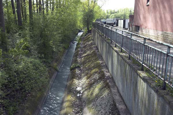 ehlerangerue200504005
