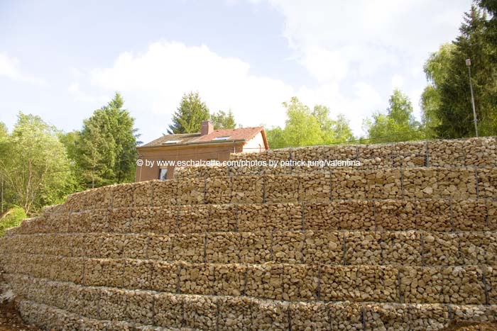 kleesgruendchen200705020