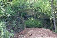 kleesgruendchen200705022